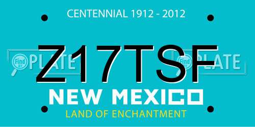 Z17TSF New Mexico License Plate