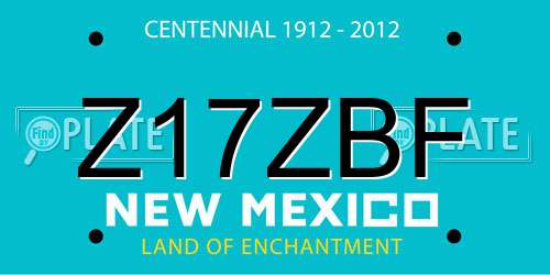 Z17ZBF New Mexico License Plate
