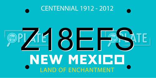 Z18EFS New Mexico License Plate
