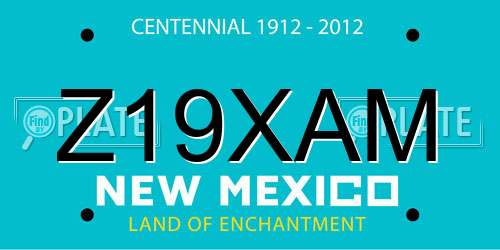 Z19XAM New Mexico License Plate