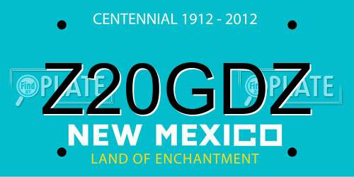 Z20GDZ New Mexico License Plate