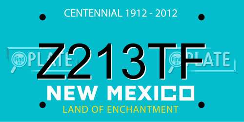 Z213TF New Mexico License Plate