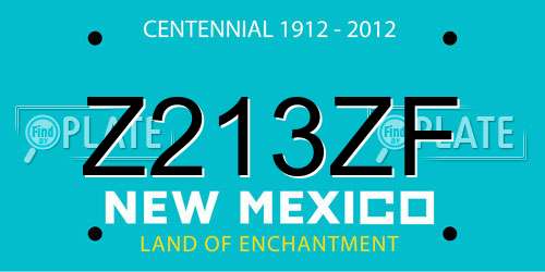 Z213ZF New Mexico License Plate