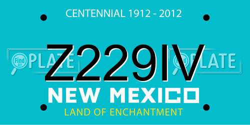 Z229IV New Mexico License Plate