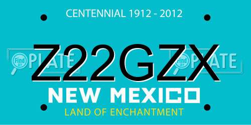 Z22GZX New Mexico License Plate