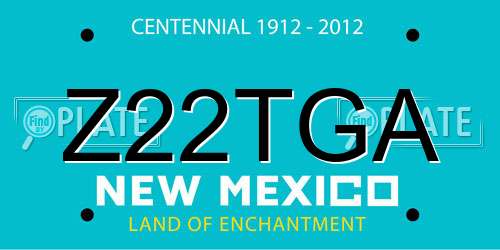 Z22TGA New Mexico License Plate