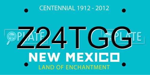 Z24TGG New Mexico License Plate
