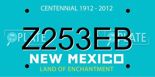 Z253EB New Mexico License Plate