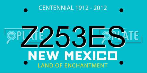 Z253ES New Mexico License Plate
