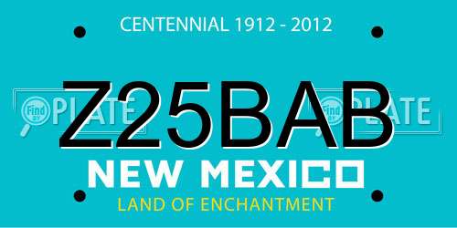Z25BAB New Mexico License Plate