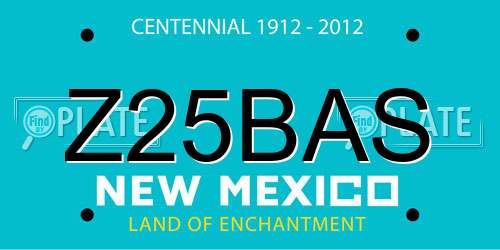 Z25BAS New Mexico License Plate
