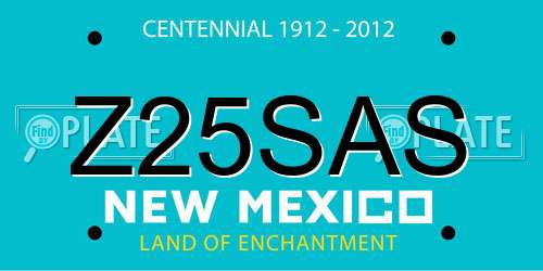 Z25SAS New Mexico License Plate