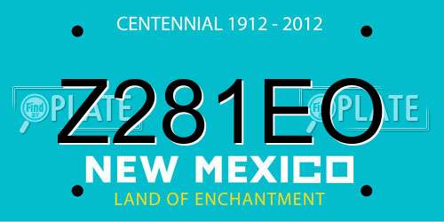 Z281EO New Mexico License Plate