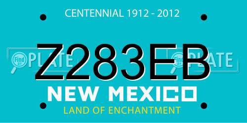 Z283EB New Mexico License Plate