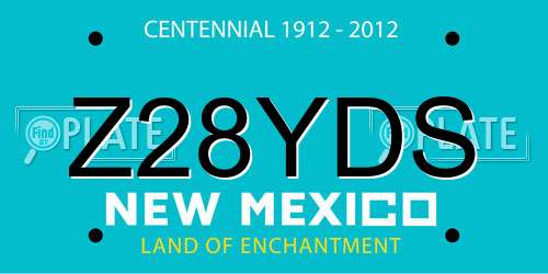 Z28YDS New Mexico License Plate