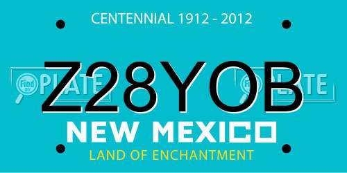 Z28YOB New Mexico License Plate