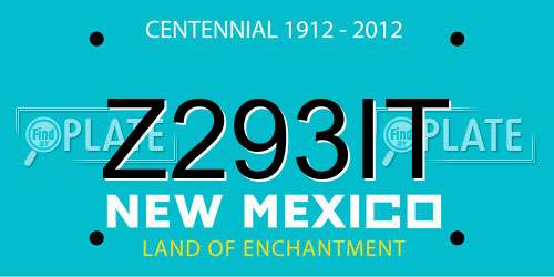 Z293IT New Mexico License Plate