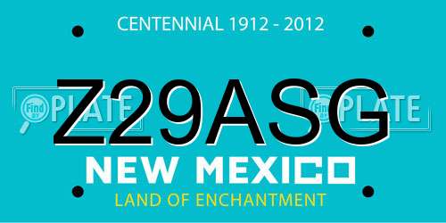 Z29ASG New Mexico License Plate