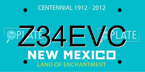 Z34EVC New Mexico License Plate