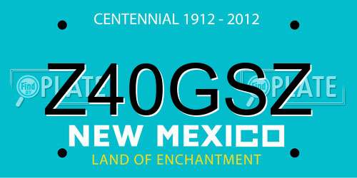 Z40GSZ New Mexico License Plate
