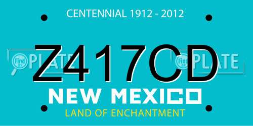 Z417CD New Mexico License Plate