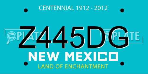 Z445DG New Mexico License Plate
