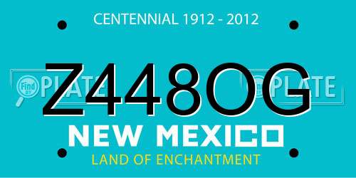 Z448OG New Mexico License Plate