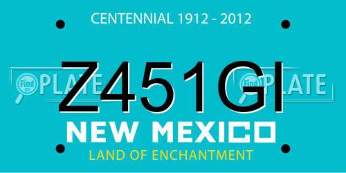 Z451GI New Mexico License Plate