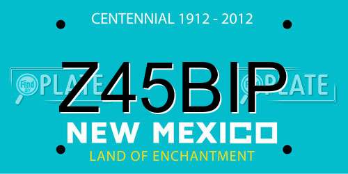 Z45BIP New Mexico License Plate