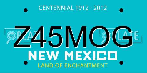 Z45MOG New Mexico License Plate