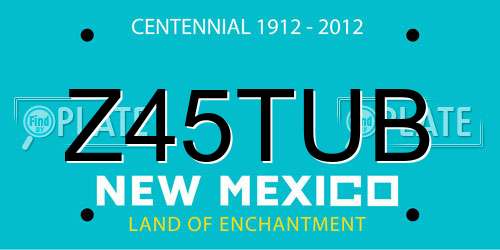 Z45TUB New Mexico License Plate