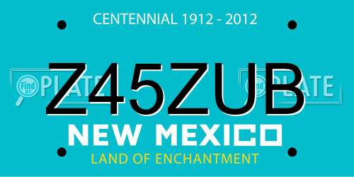 Z45ZUB New Mexico License Plate