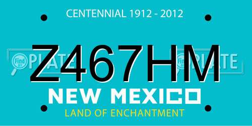 Z467HM New Mexico License Plate