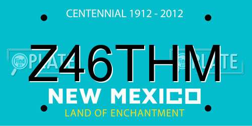 Z46THM New Mexico License Plate