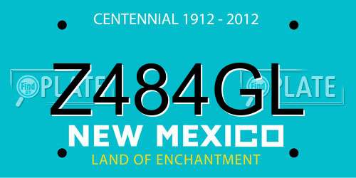 Z484GL New Mexico License Plate