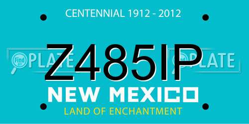 Z485IP New Mexico License Plate
