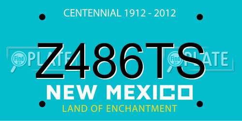 Z486TS New Mexico License Plate