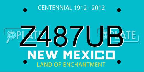 Z487UB New Mexico License Plate