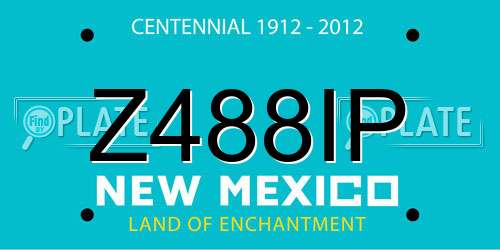 Z488IP New Mexico License Plate