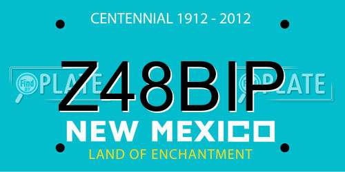 Z48BIP New Mexico License Plate