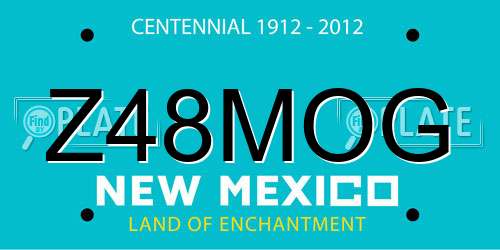Z48MOG New Mexico License Plate