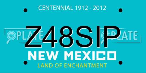 Z48SIP New Mexico License Plate