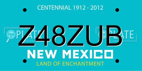 Z48ZUB New Mexico License Plate