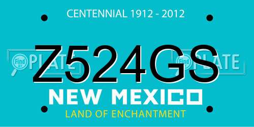 Z524GS New Mexico License Plate