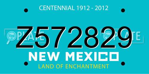Z572829 New Mexico License Plate