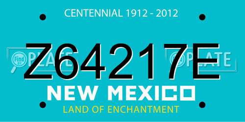 Z64217E New Mexico License Plate