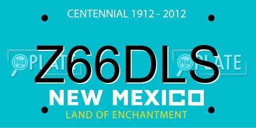 Z66DLS New Mexico License Plate