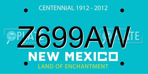 Z699AW New Mexico License Plate