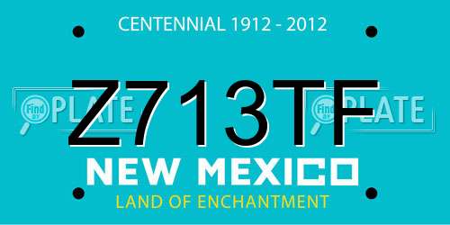 Z713TF New Mexico License Plate
