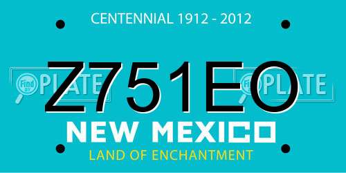 Z751EO New Mexico License Plate